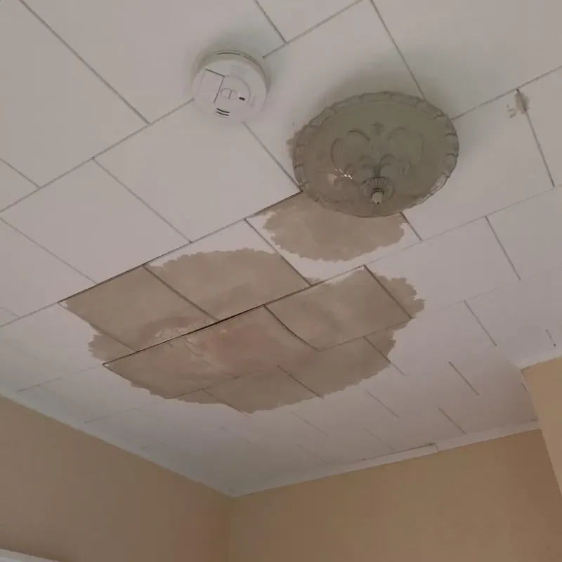 Ceiling Water Damage Repair in Earlham, IA