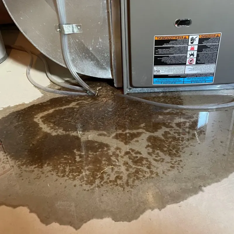 Pipe Burst and Leak Restoration in Earlham, IA