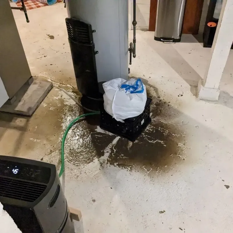Sewage Backup Cleanup Service in Earlham, IA